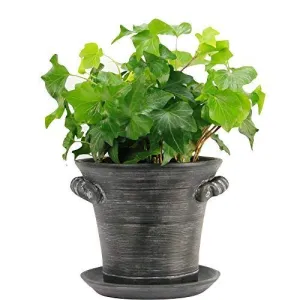 Window Garden Rustic Charm 6 Planter - Fine Home Dcor Ceramic Indoor Decorative Pot.